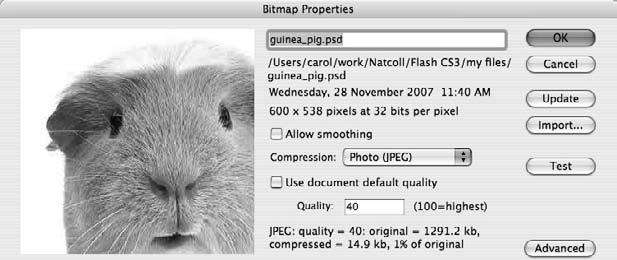 Importing pixel-based files Bitmaps (pixel-based files) can be brought into Flash in one of three ways: Copying from almost any other program, and pasting into an open Flash file.