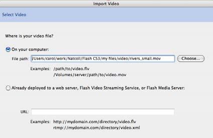 See Flash s help files for a detailed description of what each of these settings does.
