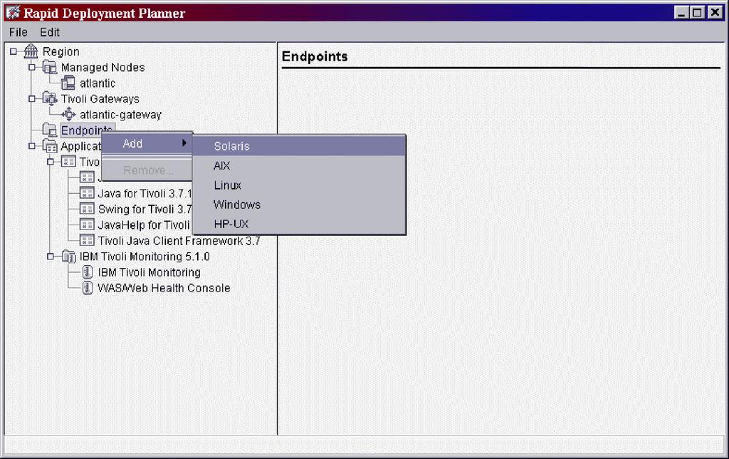 Figure 14. Custom Installation: Adding an endpoint in the Planner 25.