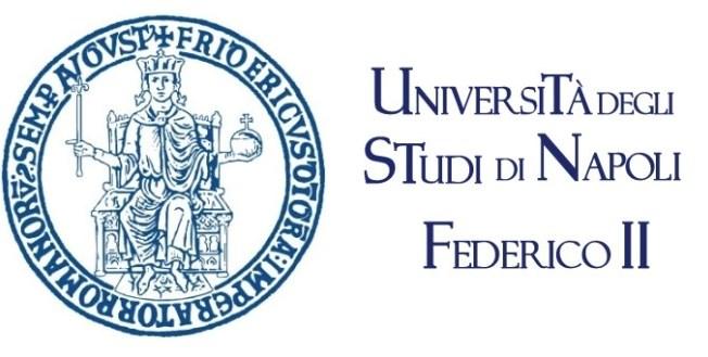 Preface This thesis is submitted to the University of Naples Federico II for partial fulfillments of the requirements for the degree of Philosophiae Doctor