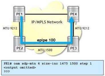 E-pipe 100 is using an SDP (4) with an LSP that uses the path shown