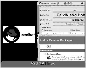 Windows Server System line of business server products Red Hat Linux was one of the most popular Linux