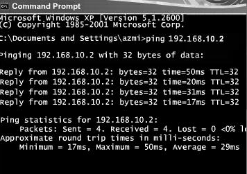 Prompt window Enter the name or IP address you want to test after the ping command The