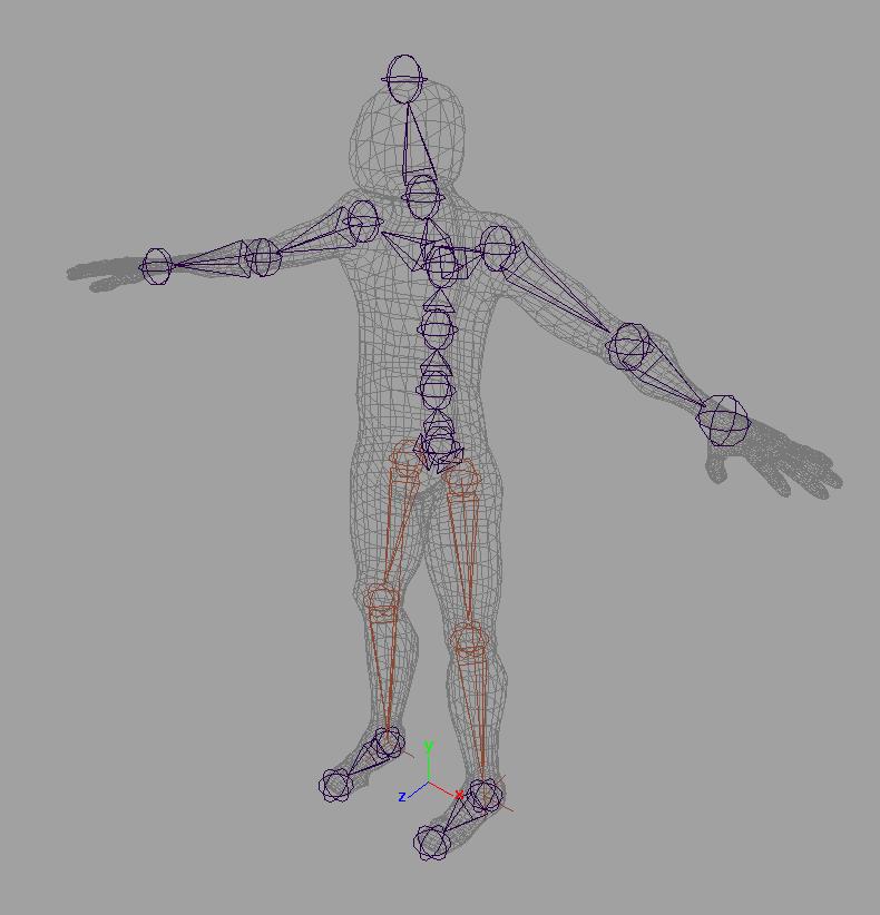 Skeletal animation: rigging Animating complex polygonal meshes Construct a skeleton of bones capturing the components and joints of the body Rig the skeleton by attaching vertices to