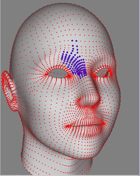 Morph target animation Vertices of key-frames are edited manually Intermediate frames interpolated Artist has more fine control over location Libraries of facial expressions corresponding