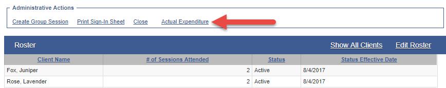 On the Group Profile screen, in the Administrative Actions box, click Actual Expenditure.