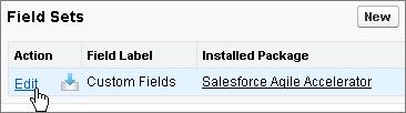 CUSTOM FIELDS FOR WORK RECORDS You can customize the fields that appear in the Additional Fields section on all Work Records by editing the Work custom object.