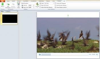 Highlight a video you've embedded in a presentation, and the tools appear in the Ribbon. Step-by-Step Open the previously-used 3-slide sample PowerPoint file from the Desktop of the Computer.