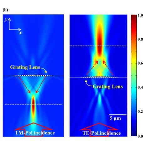 results, the TE polarized light is focused on the transmission direction, and the TM polarized light is focused on the reflection direction.