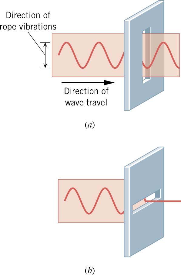a transverse wave is linearly polarized with its vibrations always along one direction a linearly polarized wave can pass through a