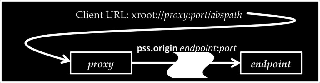 In the diagram the client present a URL that identifies the proxy server or proxy cluster.
