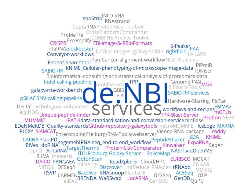Initial tasks of the de.nbi network Services and tools offered by de.nbi Summary of tools offered by the eight service centers: 115 services are listed on the de.