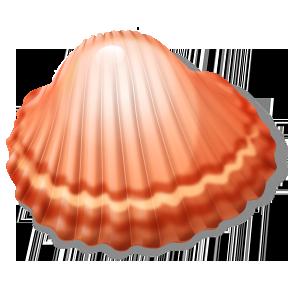 shell also sh, developed by Steve