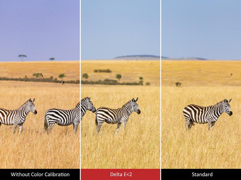 The Universal Colour Standard A 99% srgb colour coverage reproduces richer and more