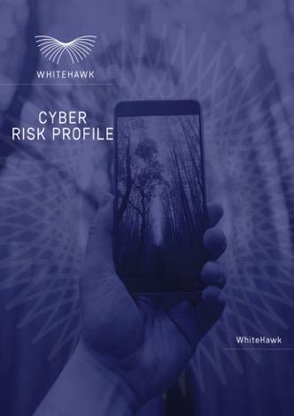 DISRUPTING THE B2B CYBERSECURITY MARKET Cyber Risk Advisory Services Established Cyber Risk Baselines and Pragmatic Living Frameworks Conducting Cyber Risk Profiles and Proof of Concept Scorecards