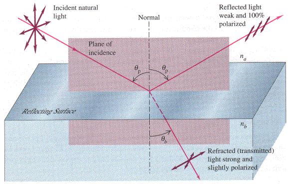 Figure 2: Polarization components for polarization by reflection In this equation, n is the index of refraction of the incident material and n is the index of refraction of the transmitting material.