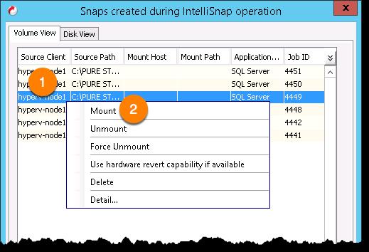 Figure 48. Mount selected snapshot. After clicking on Mount the Mount Path dialog is displayed.