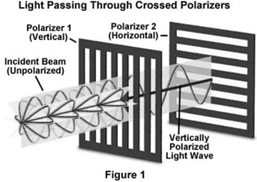 Unpolarized Light Polarized Light Unpolarized light (like the light from the sun) passes through a polarizing sunglass (a linear polarizer).