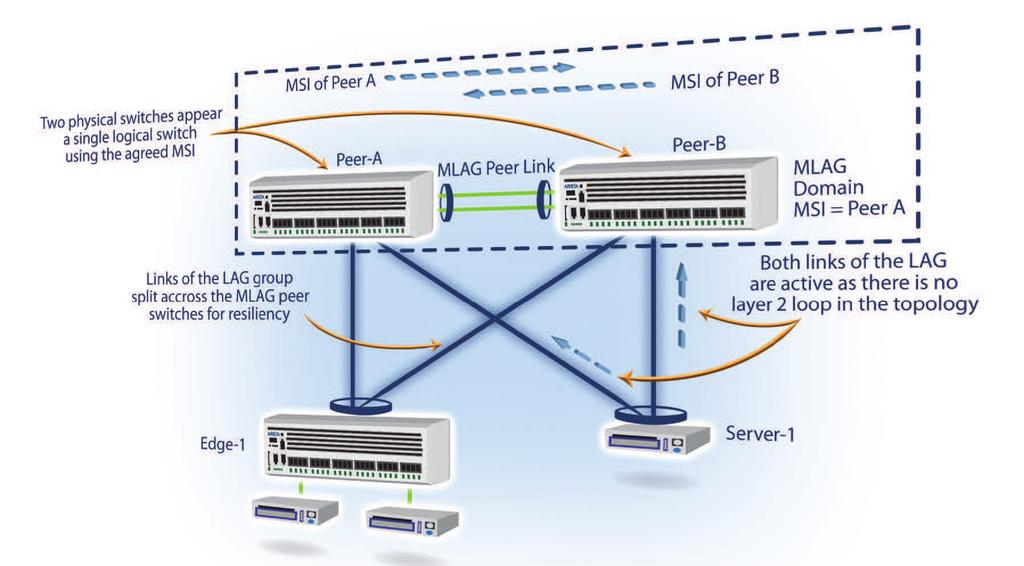 The scabale multi-path layer 2/3 bonding features offer active/active bonded ports that provide increased cross-sectional bandwidth and redundancy with fast fail-over, should a fault occur.
