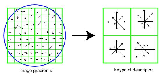 Figure 5: Left: the gradient magnitude and orientation at a sample point in a square region around the keypoint location. These are weighted by a Gaussian window, indicated by the overlaid circle.
