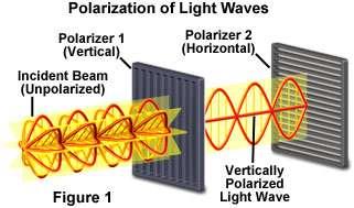 54) Vibration and Polarization of Light Polarizing Filters Polarizing filters are materials in which electrons can move freely in one direction but not another.