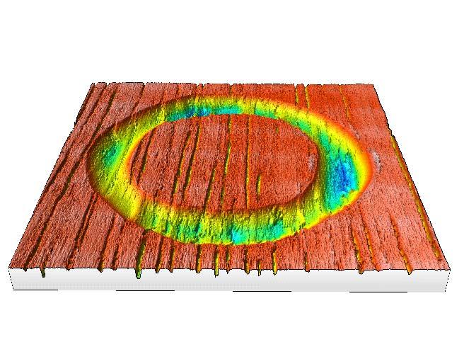 The 3D view of the surface topography is shown in Fig. 3, providing an ideal tool for users to observe the wear track of the Cherry sample from different angles.