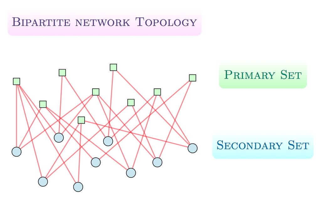 Bipartite Networks Bipartite Networks The network has two node sets P (Primary, of most interest) and S
