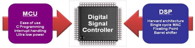 processing requirements Digital Signal