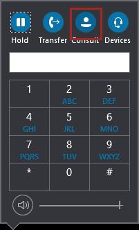 2. The virtual keypad will appear. Click on the "Consult" button at the top of the box. This will place the caller on hold.