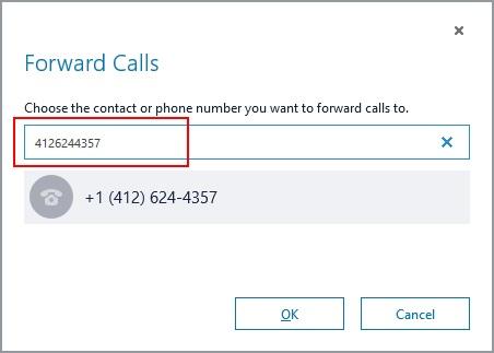 4. A "Forward Calls" window appears. Enter the number where you want calls to forward in the field.
