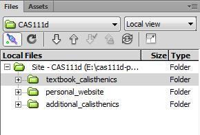 Upload your Website: You will use the Files Panel within Dreamweaver to upload your files. Make sure that you are viewing the CAS111d class site.