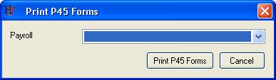 This button allows you to import an existing Excel document with the data for P45 printing.