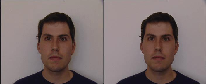 Facial expression tracking Input video Avatar" Digital Image