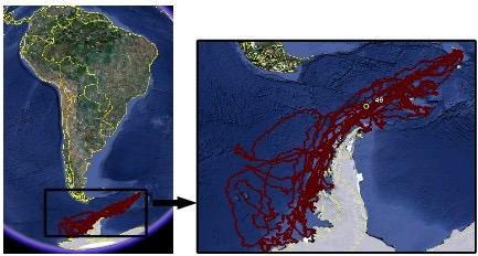 Figure 3 shows a set of observations (red points) gathered in a lake of Amazon rainforest in two different months.