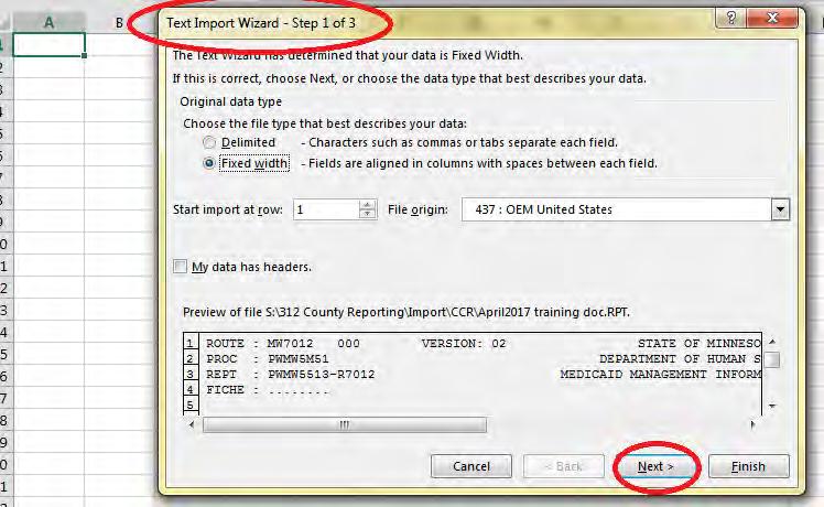 Once you click on your saved file, you should get a Text Import Wizard screen like the following: The following steps will help us to format how we want the report to appear in excel.