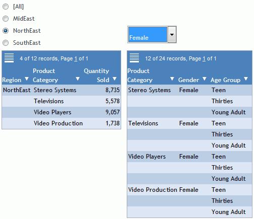 Creating Active Technologies Components With InfoAssist In this example, the region report has been filtered by the NorthEast region and the gender report has been filtered by Female.
