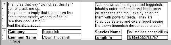 98 Fish Reference booklet Task 10 Create Region 2 1 Create another region and place it beneath Fuchsia. 2 Use the Line Color palette to select No Line.