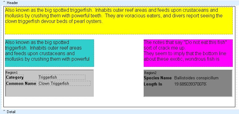 Fish Reference booklet 100 3 Click the Layout tab and set the alignment to Vertical.