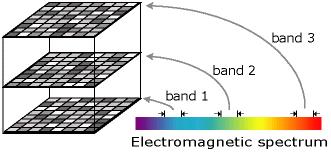 Multiple-Band Rasters A band is a single matrix or layer of cells.