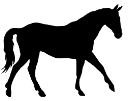 Hostes [k] Population [k] US, human population vs. number of horses 50.000 45.000 40.000 35.000 250.000 200.