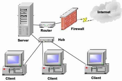 Network software: Networking software, in the most basic sense, is software that facilitates, enhances or interacts with a computer network.