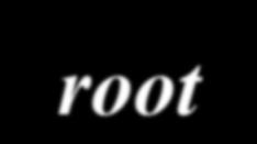 (root) partition <swap>