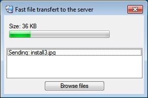 Fast and easy file transfer between the user and the server AppAnywhere includes a unique method of transferring files: F8