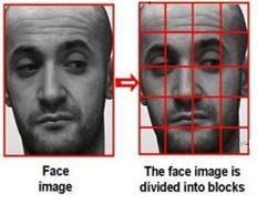 nary Face Template from the real part of complex information, BF