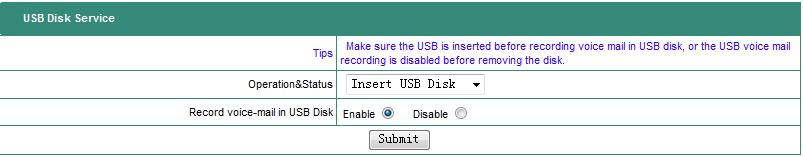 (1) Insert USB disk (2) Select Insert USB Disk in the current status (3) Select Enable for USB voice mail recording. (4) Click Submit button.