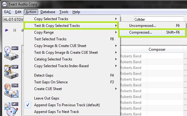 Finally, the rip itself! Make sure all the tracks are checkmarked in the main window unless there are some you don't want to rip.