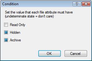 Note: By default, the check boxes for File Attributes will appear with an un-determinate state, which means don't care.
