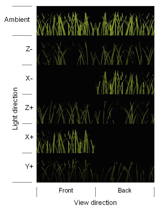 Medium distance grass: lighting Slices data are BTFs (Bidirectional Texture Functions), allowing per-pixel lighting Five light