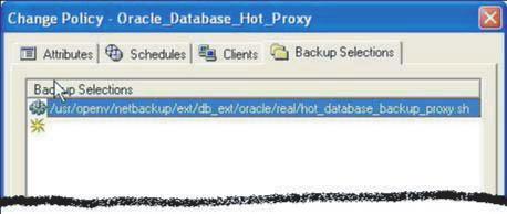 Figure 4. Change Policy dialog box Backup Selections tab showing Oracle RMAN script.