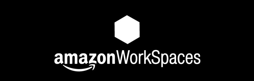 Amazon WorkSpaces Fully